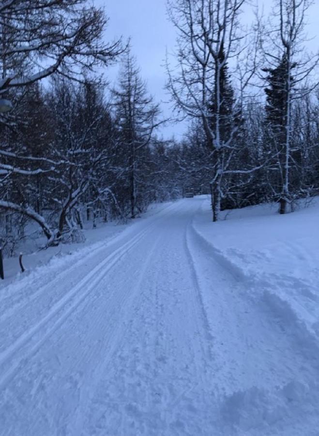 Guesthouse Hvitahusid Akureyri Exteriör bild